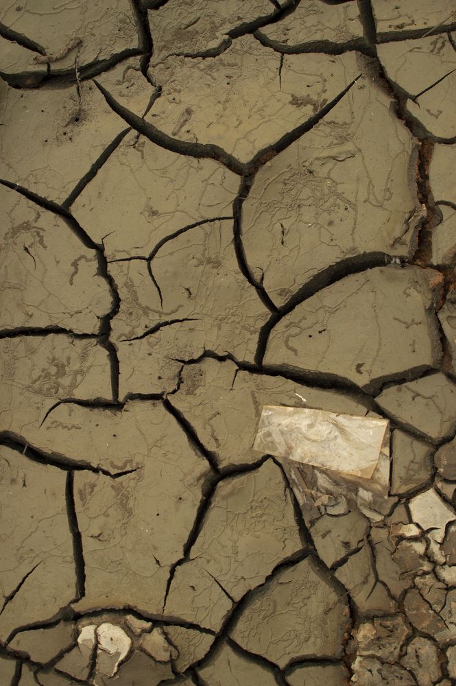 Photograph by anoop s