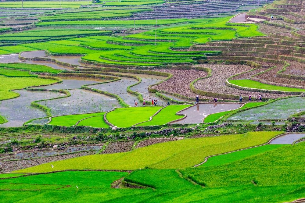 Lim Mong Rice Terraces valley