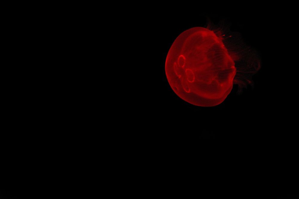 Photograph by Елена Ласун