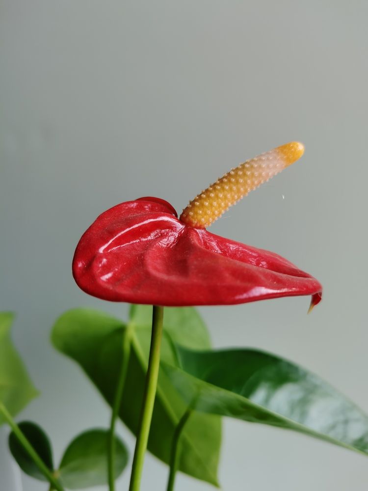 Photograph by Наталья Круглова