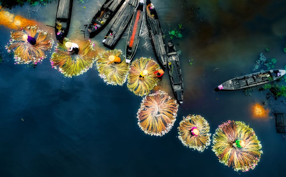 Photograph by Lê Huy Anh