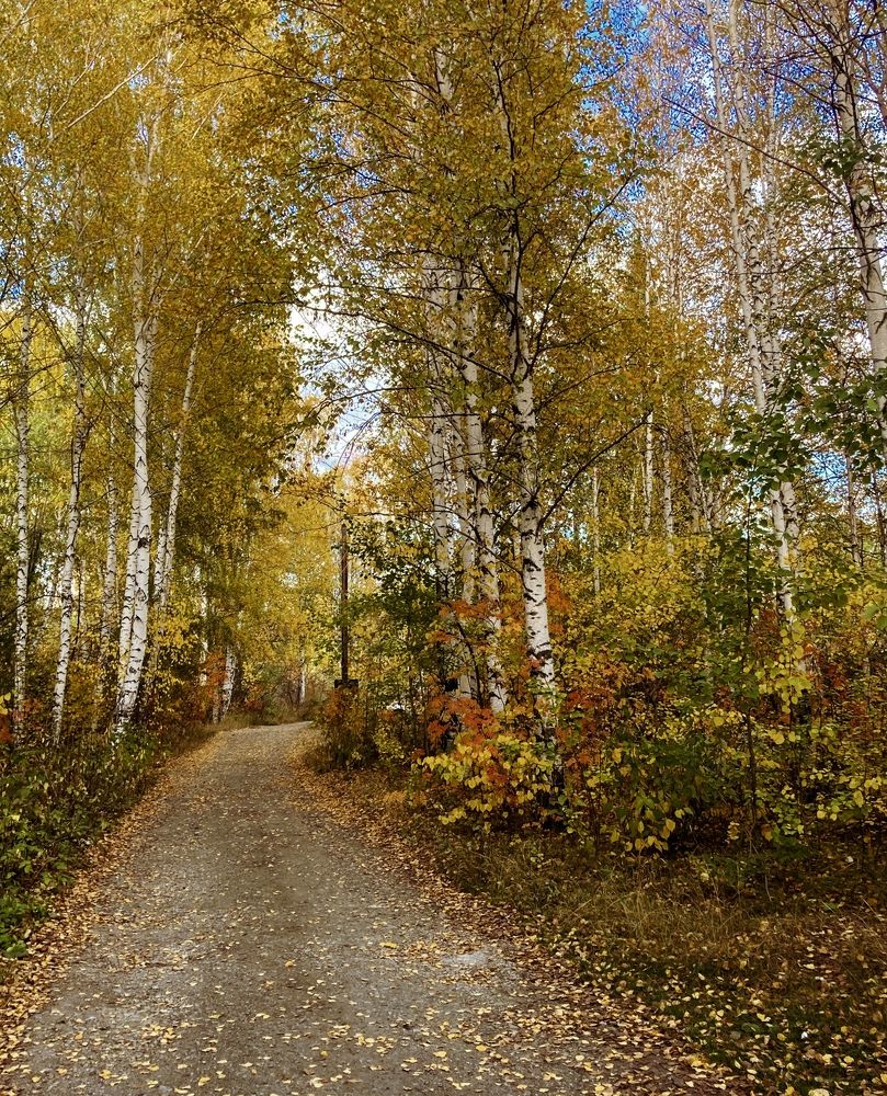 Photograph by Марина Короткова