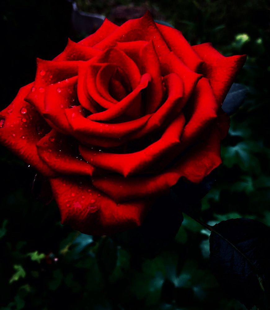 Photograph by Анна Новикова