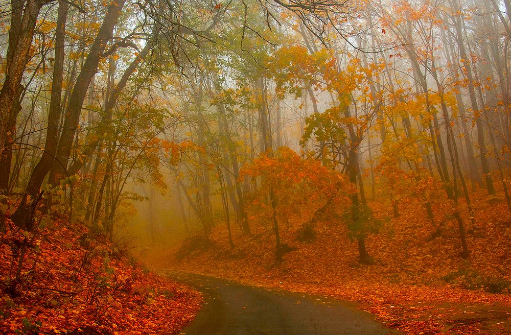 Photograph by Алексей Патлах