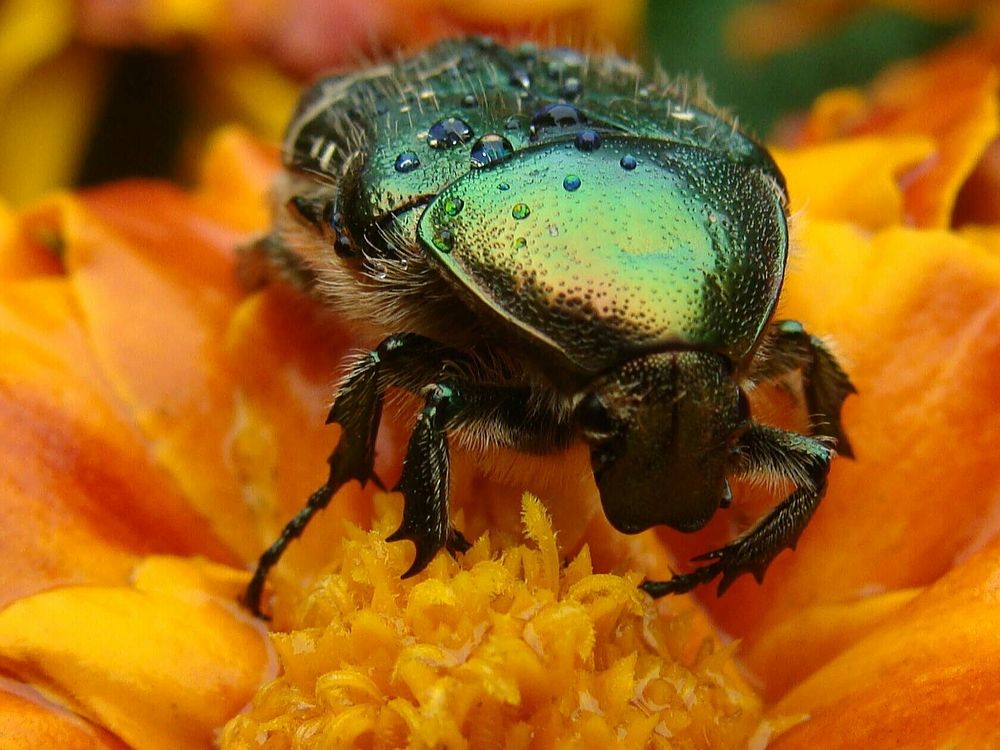 Фотография автора Павел Попов