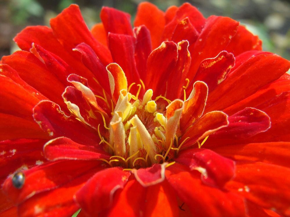 Фотография автора Павел Попов