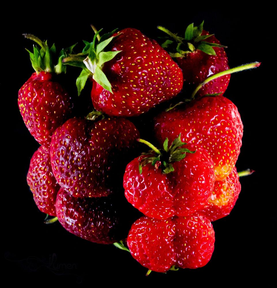 Photograph by Любовь Бусова