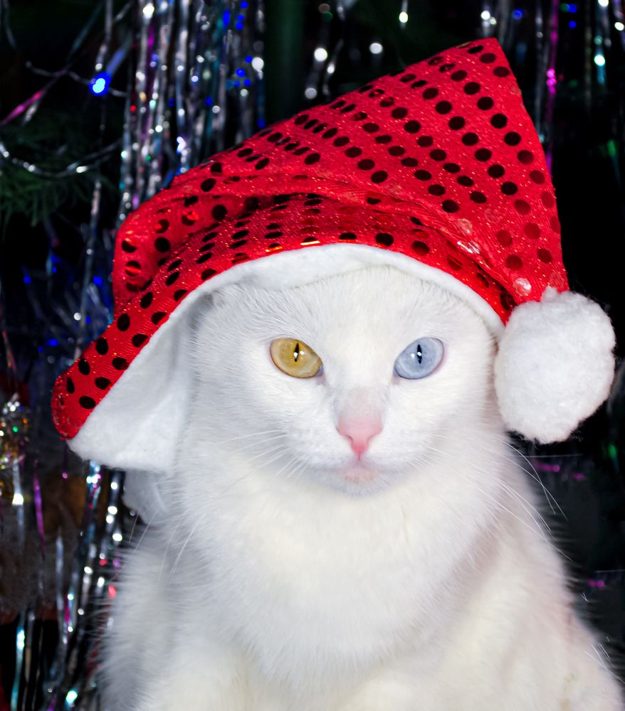 Photograph by Любовь Бусова