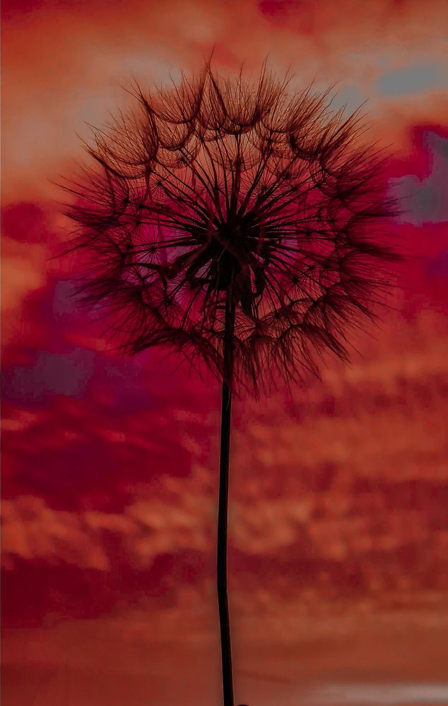 Photograph by Инна Майорова