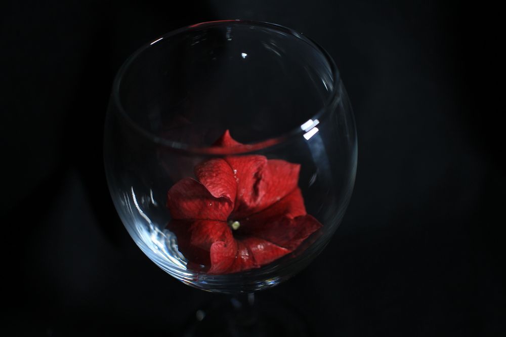 Photograph by Елена Змейкова