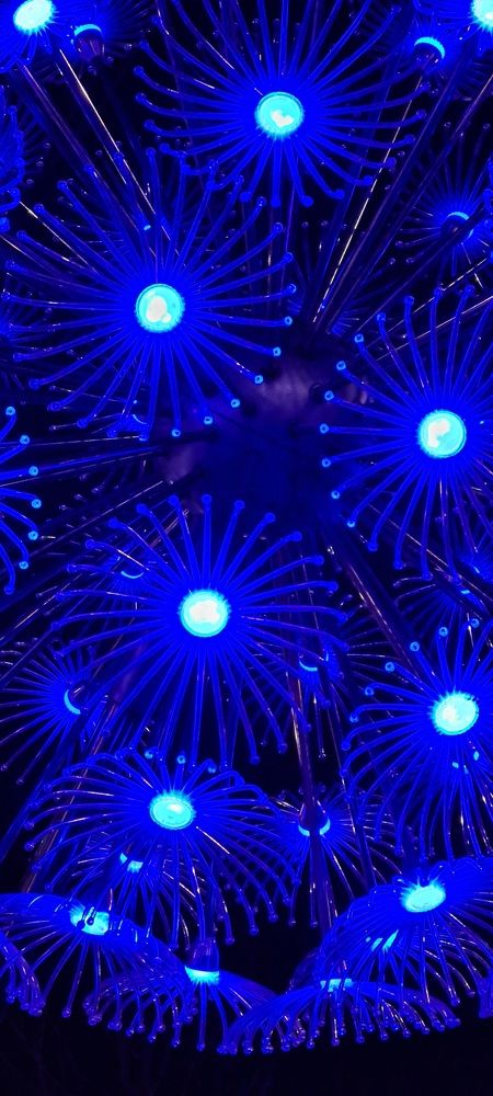 Photograph by Инна Майорова