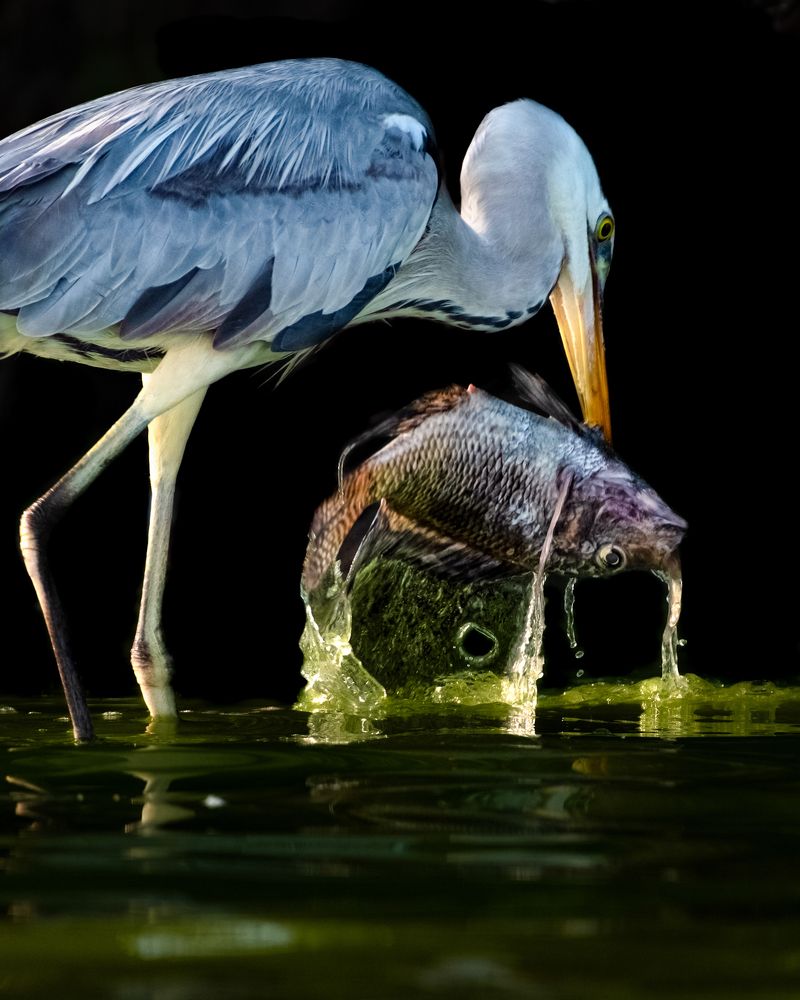 Photograph by Vishal Lokare