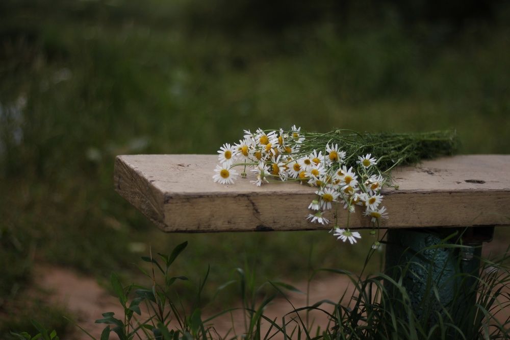 Photograph by Анжелика Медведева