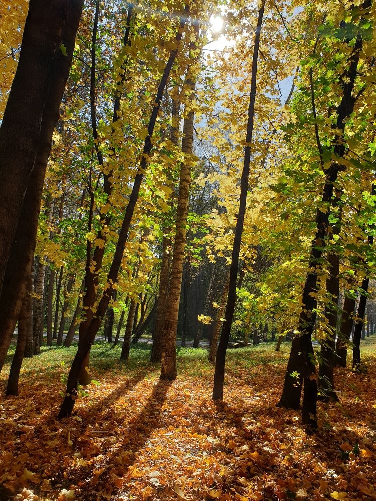 Photograph by Инна Майорова