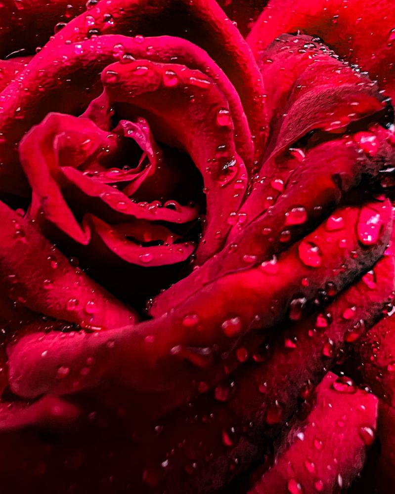 Photograph by Ольга Зуева