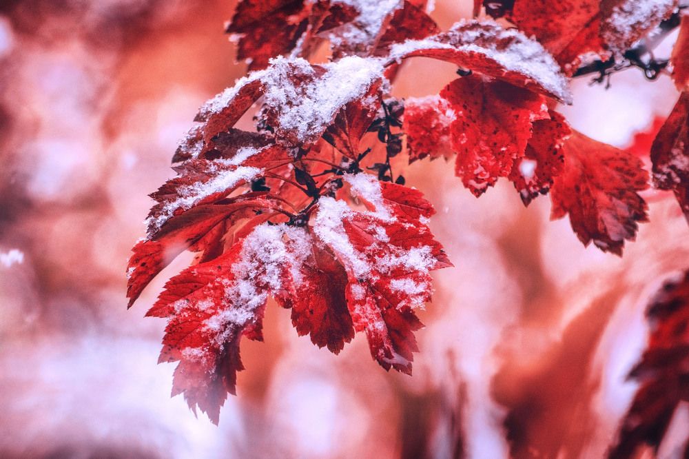 Photograph by Юлия Лушникова