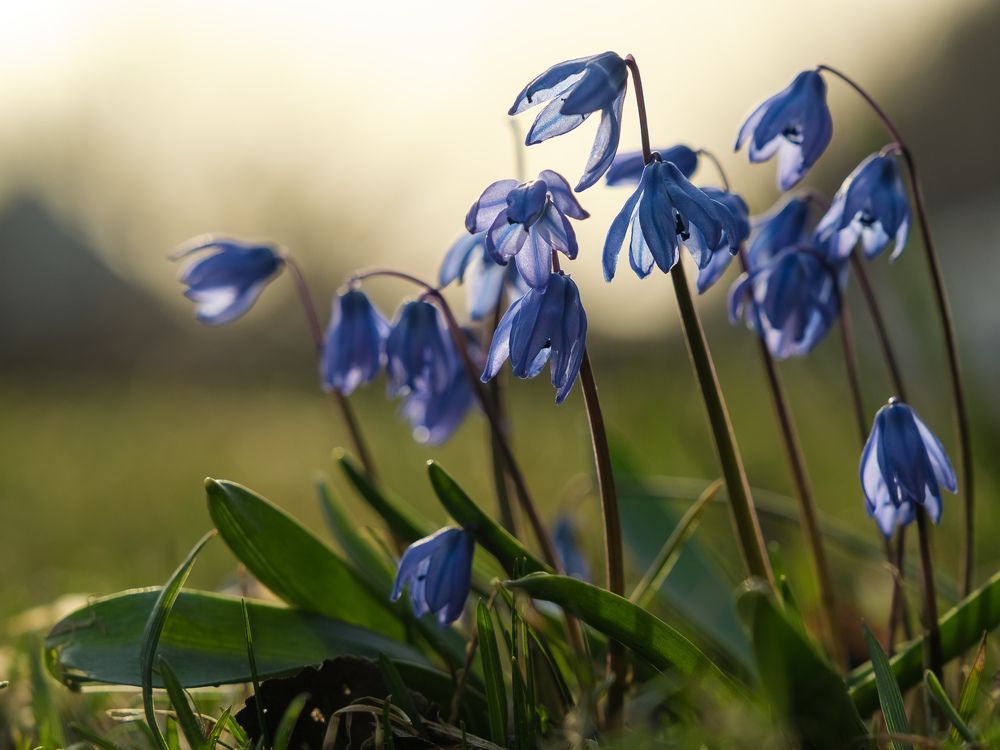 Photograph by Сергей Кравченко