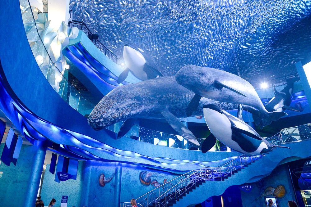 Photograph by Эдуард Шадров