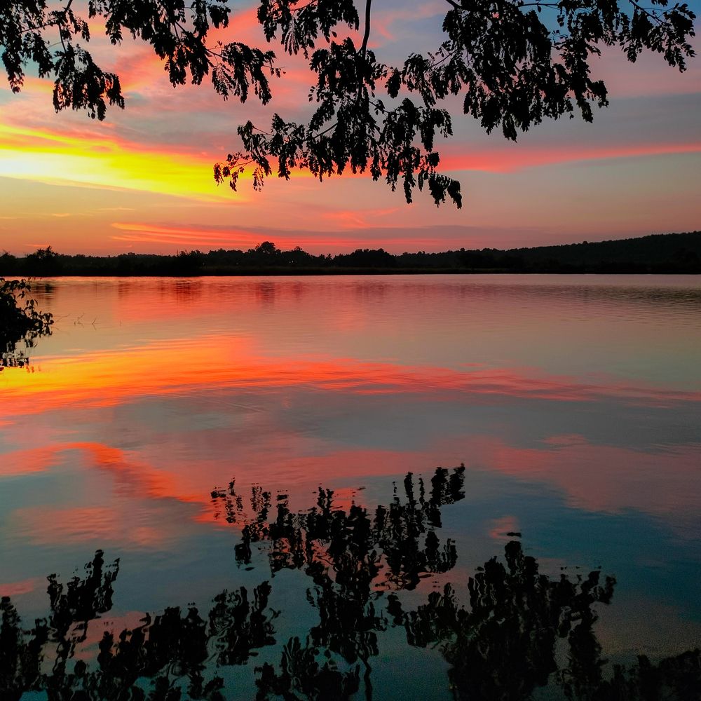 Photograph by Aryan Naik