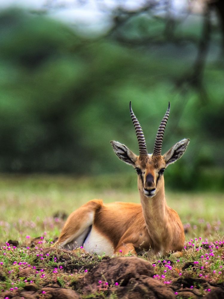 Photograph by Dipti Ramavat Sharma