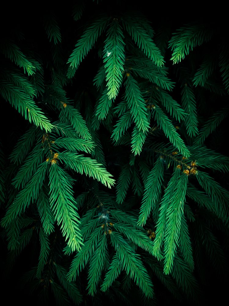 Photograph by Ирина Панюк