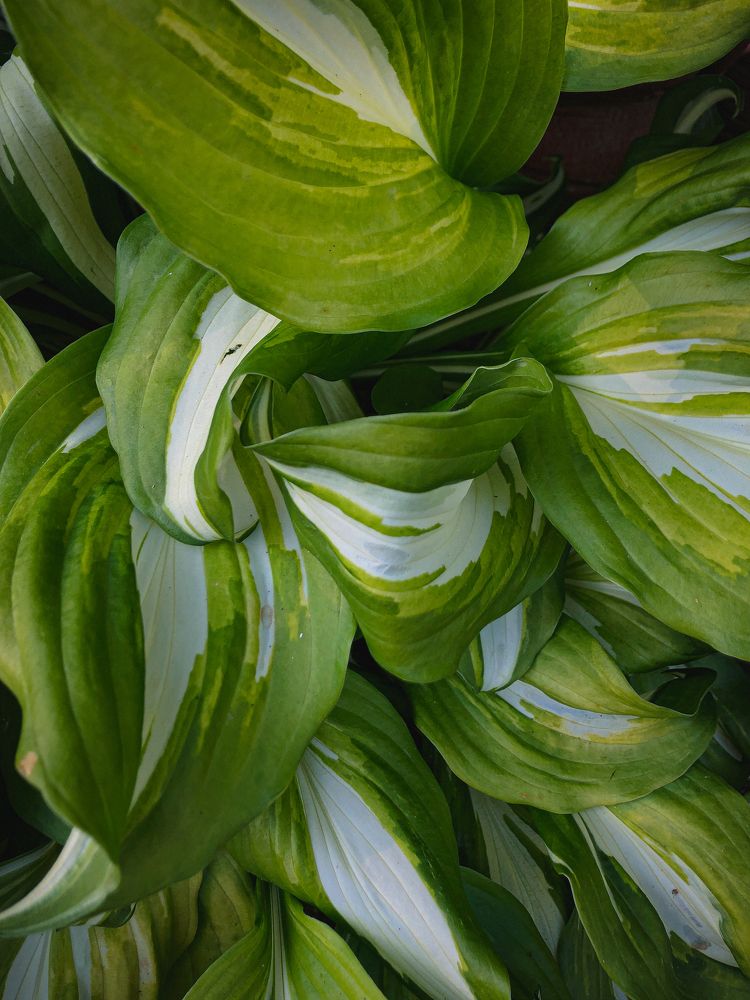 Photograph by Ирина Панюк