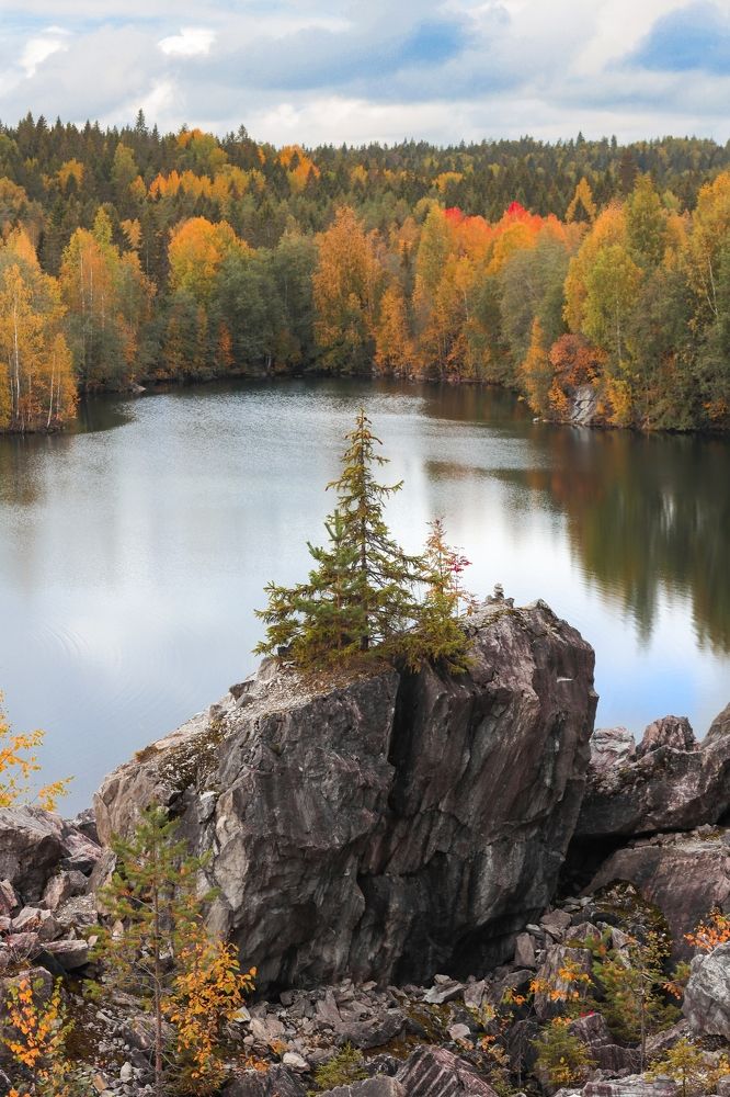 Photograph by Viktor Sheibak