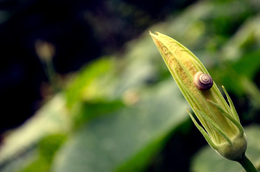 Photograph by Milton Sosa Mc Donald