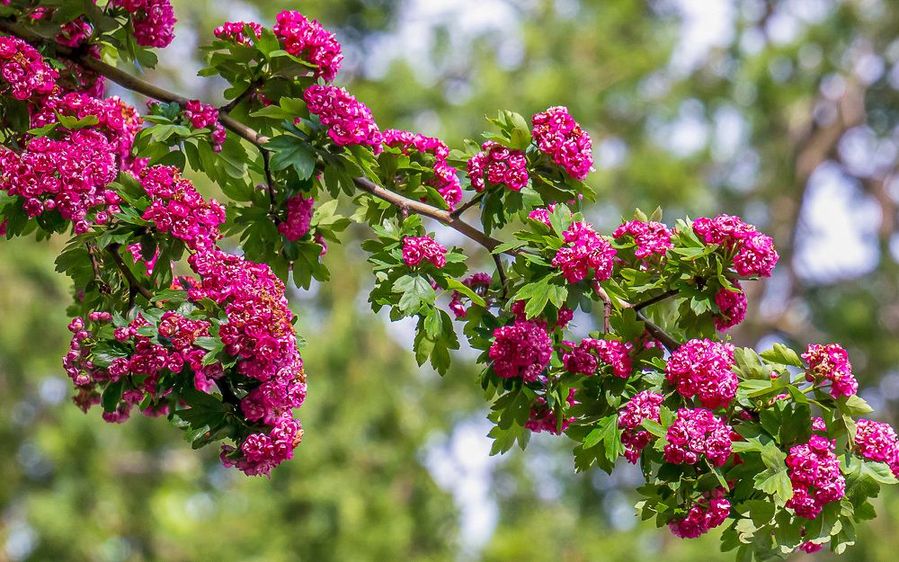 Фотография автора Николай Бологов
