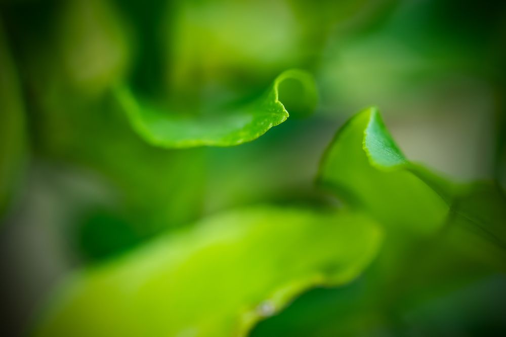 Photograph by Gatis Vilbrants