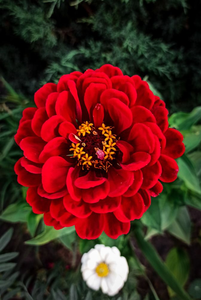 Фотография автора Алёна Подгорная