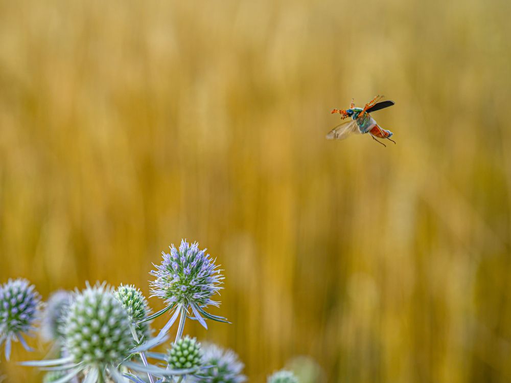 Photograph by Семенко Александр