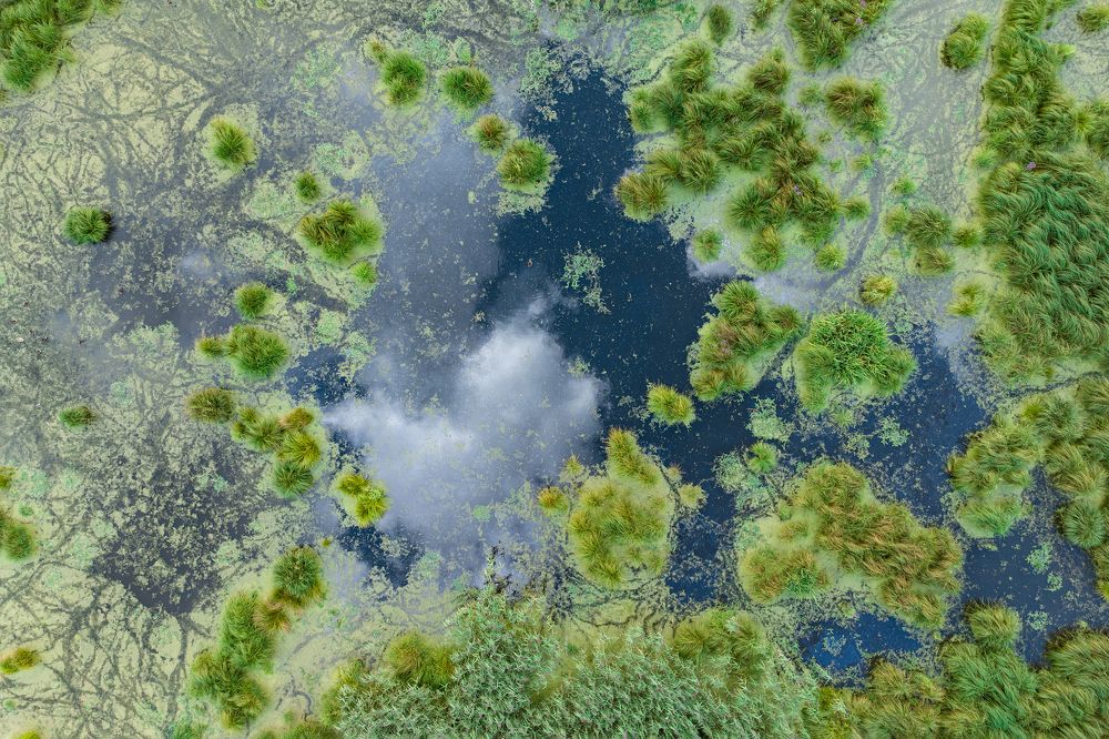 Photograph by Gatis Vilbrants