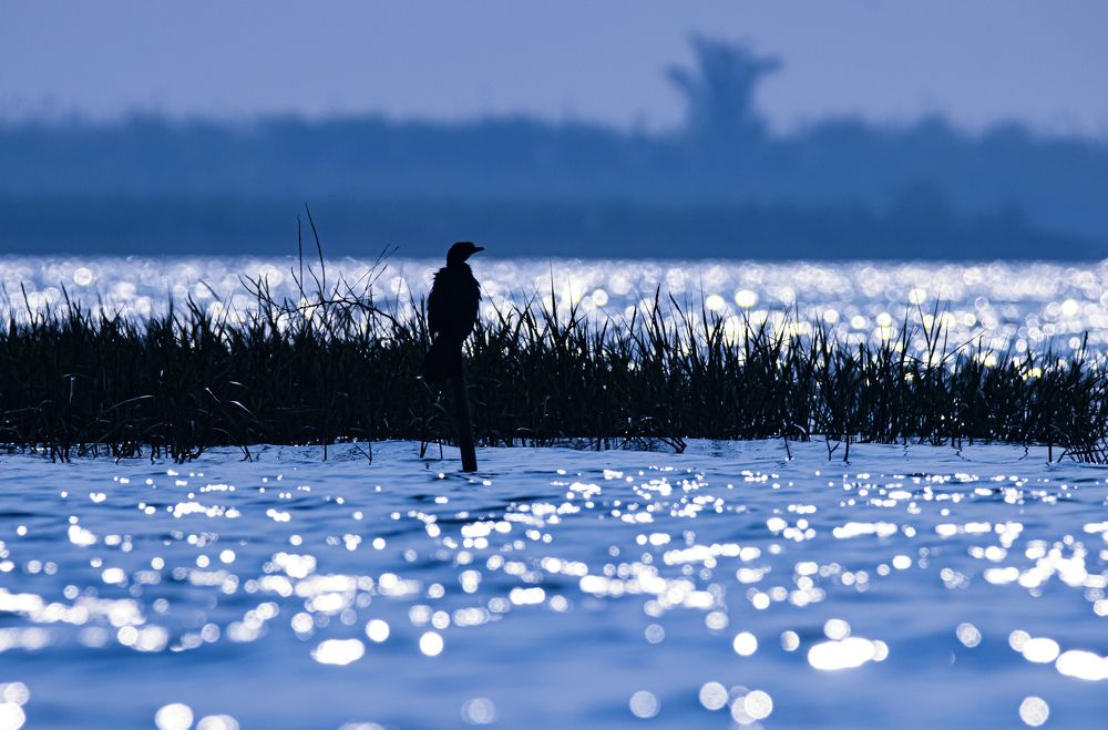 Photograph by Dipti Ramavat Sharma