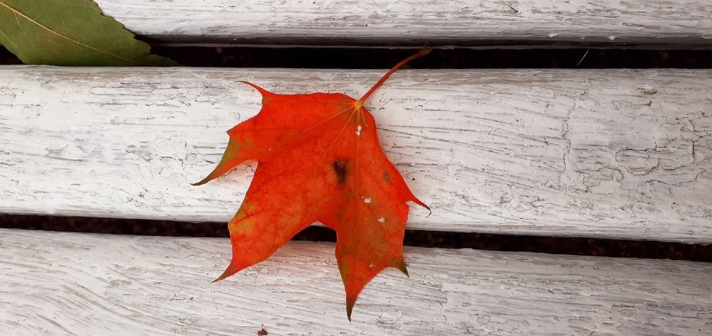 Photograph by Евгения Ульянова