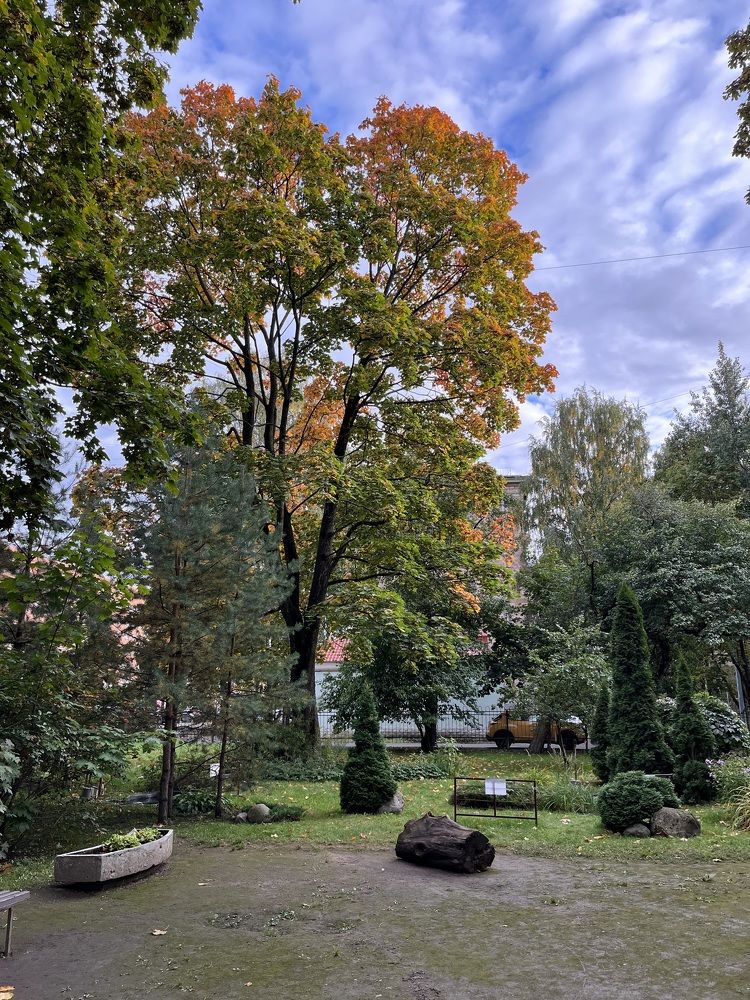 У Художки...Питер...