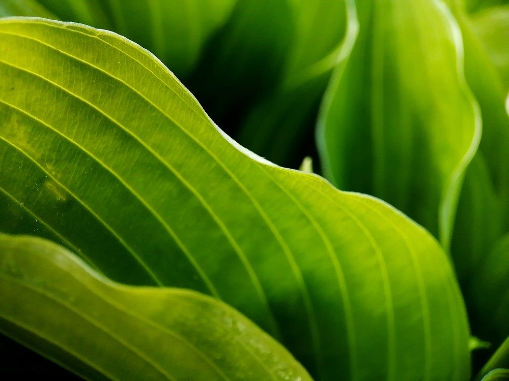 Фотография автора Кристина Горя