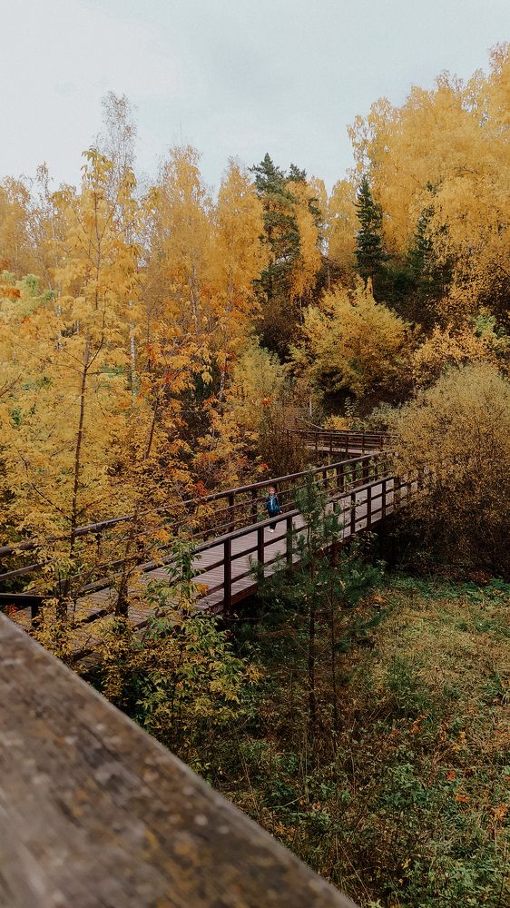 Photograph by Анастасия Семкина