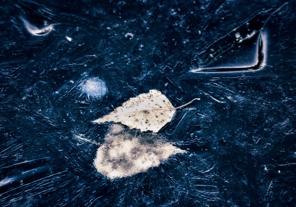 Photograph by Юлия Лушникова