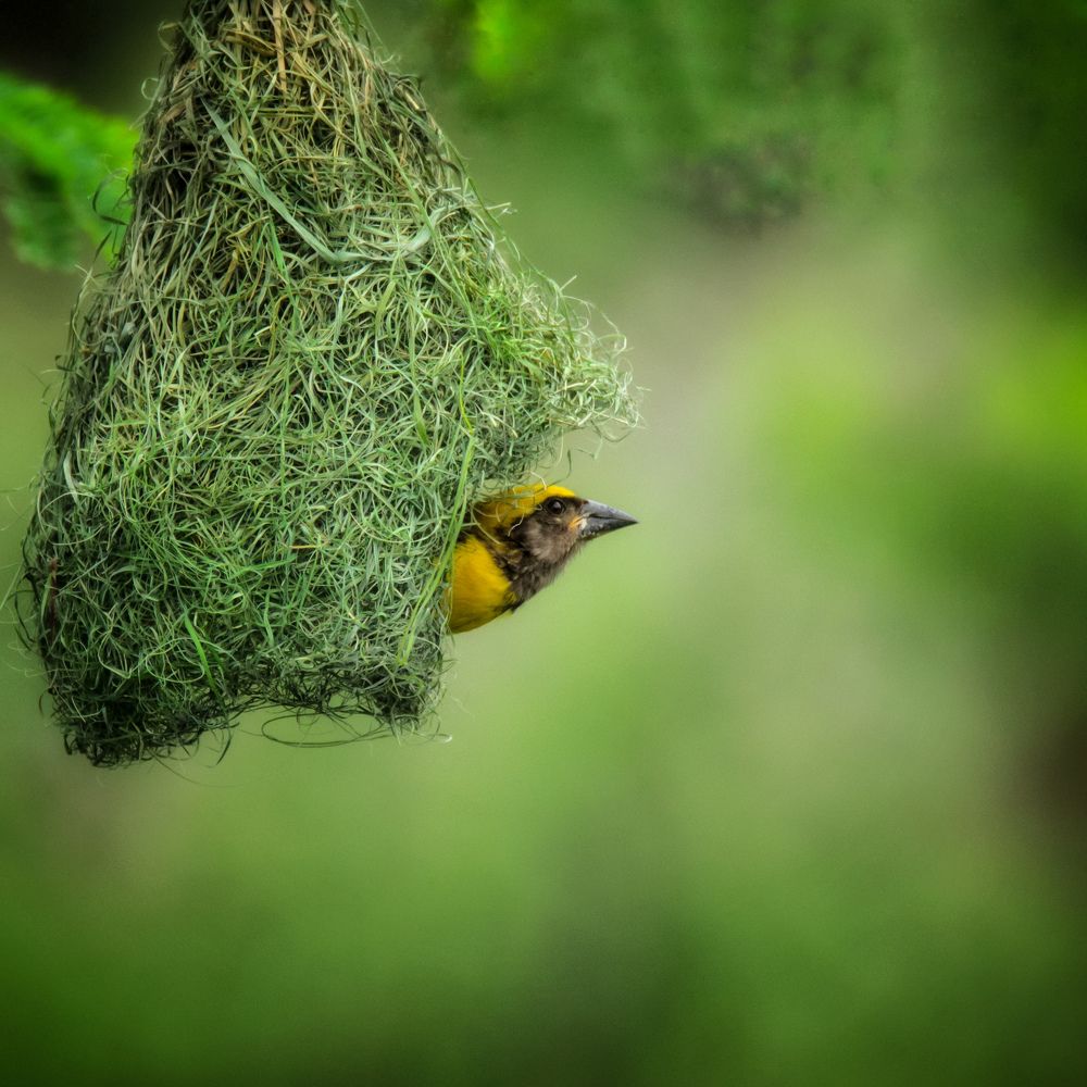 Photograph by Dipti Ramavat Sharma