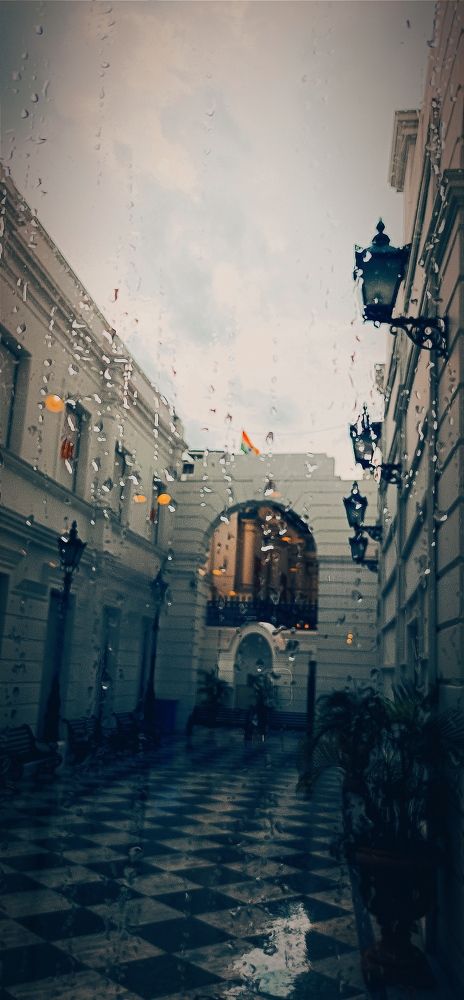 Photo #8086780