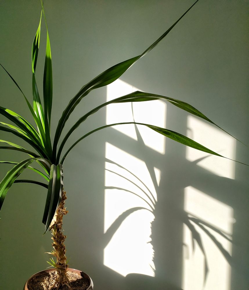 Photograph by Olga Gorokhova