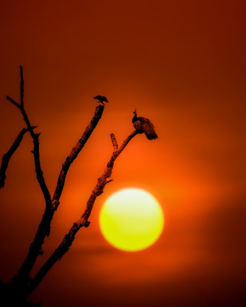 Photograph by Vishal Lokare