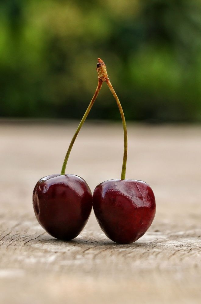 Photograph by Masoumeh Rahimi