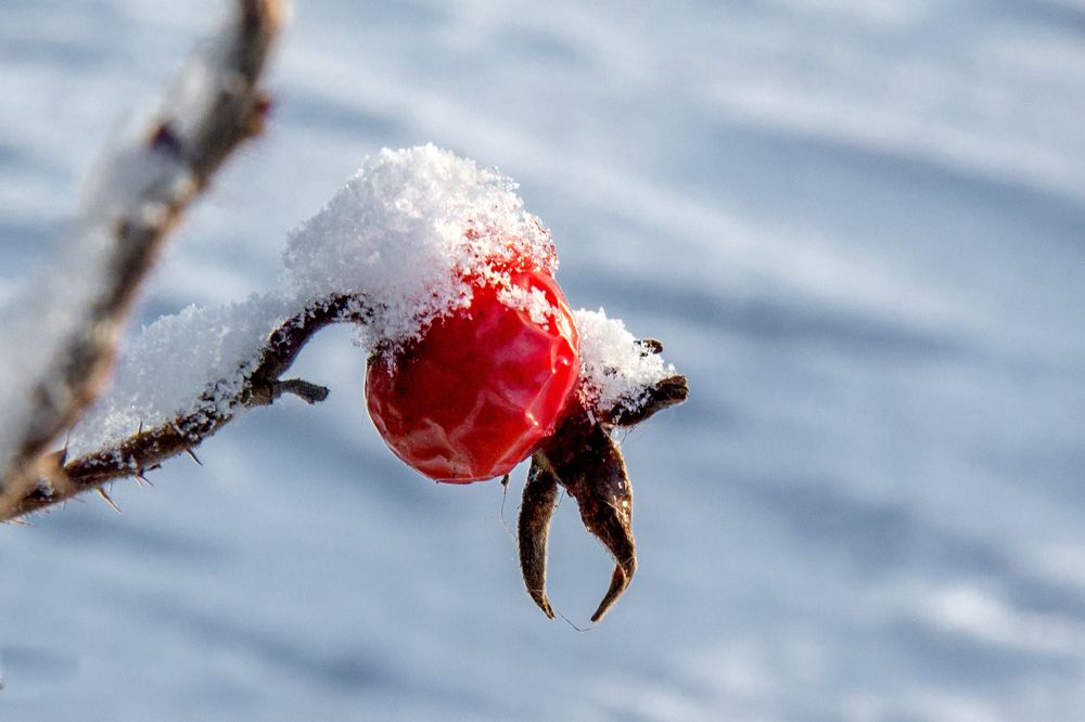 Photograph by Татьяна Семенова