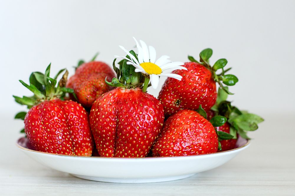 Photograph by Татьяна Семенова