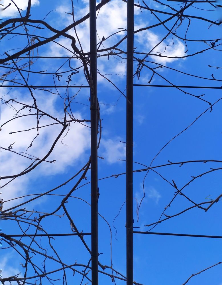 Photograph by Olga Gorokhova