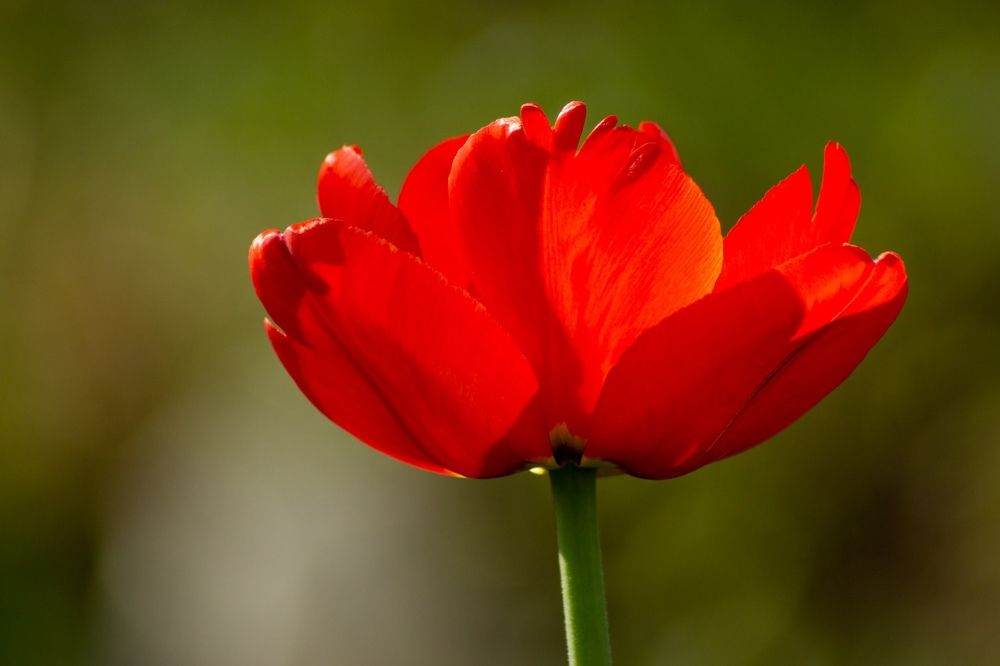 Photograph by Вера Шипулина