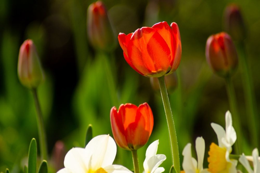 Photograph by Вера Шипулина