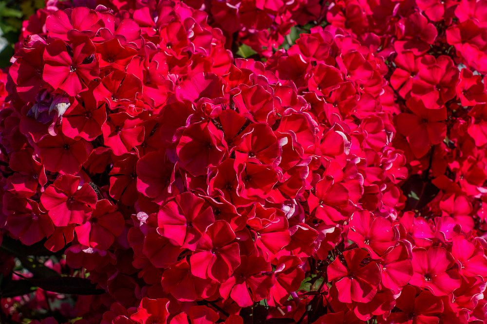 Photograph by Татьяна Семенова